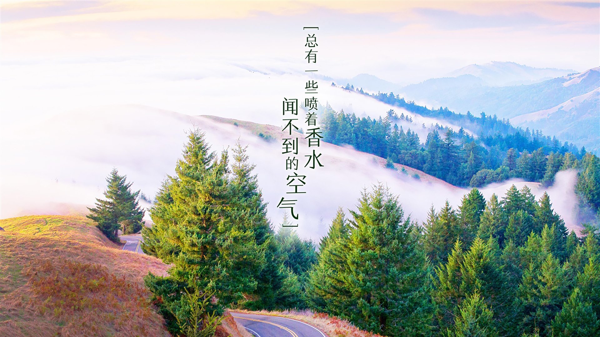炉石传说 线上比赛人气持续攀升，炉石传说线上比赛平台
