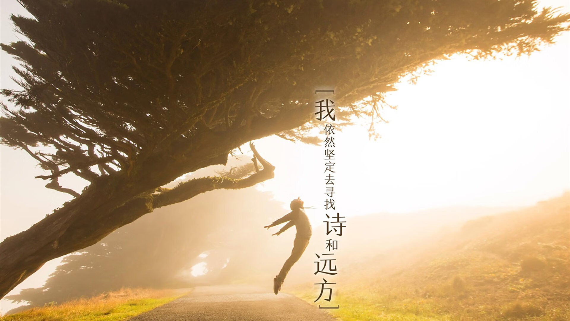 T1比赛录像分析分享，t1战队比赛视频