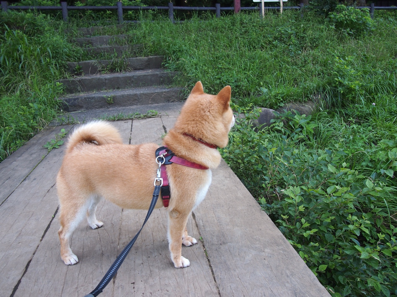 千钧一发:双方形势悬殊,胜利只在一线之间,千钧一发下一句