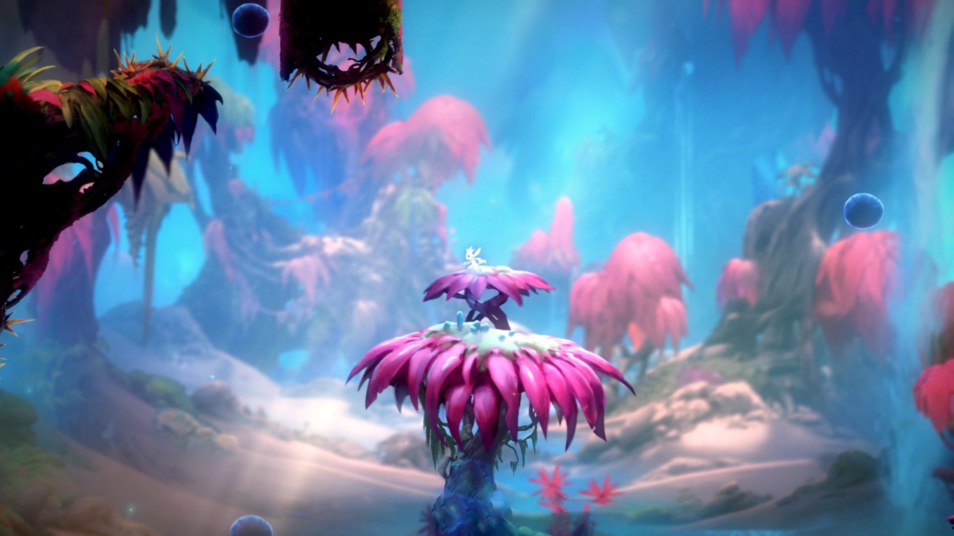 塞内加尔震撼亮相冬奥足球赛场,首战击败瑞士,塞内加尔在东京奥运会第几个出场