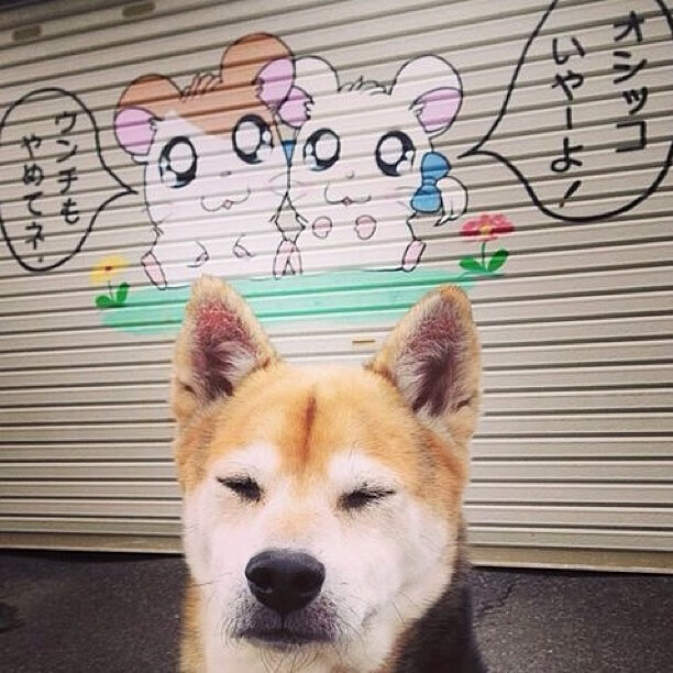 尤文图斯豪取三分！客场大捷，全队势如破竹，尤文图斯集锦