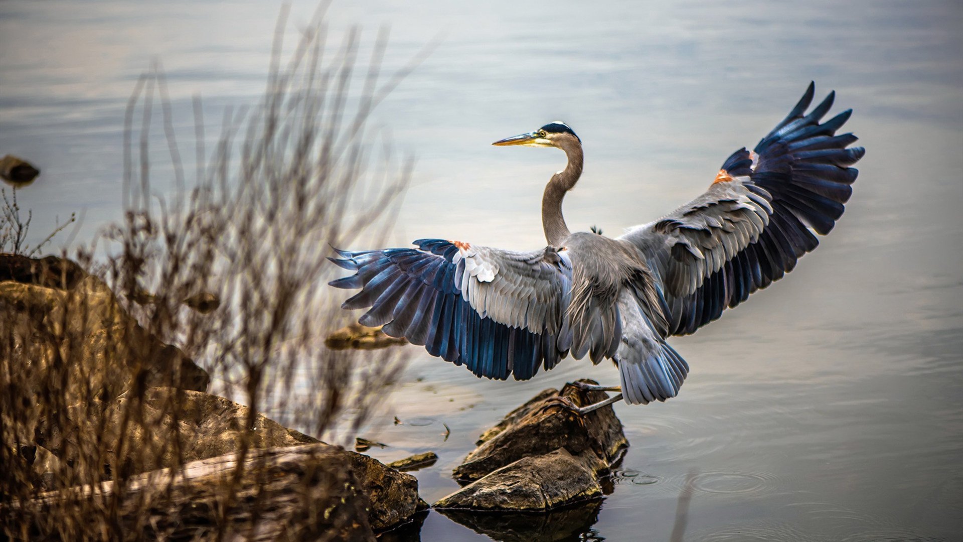 体育赛事观众互动新体验，观看体育赛事应注意哪些礼仪常识