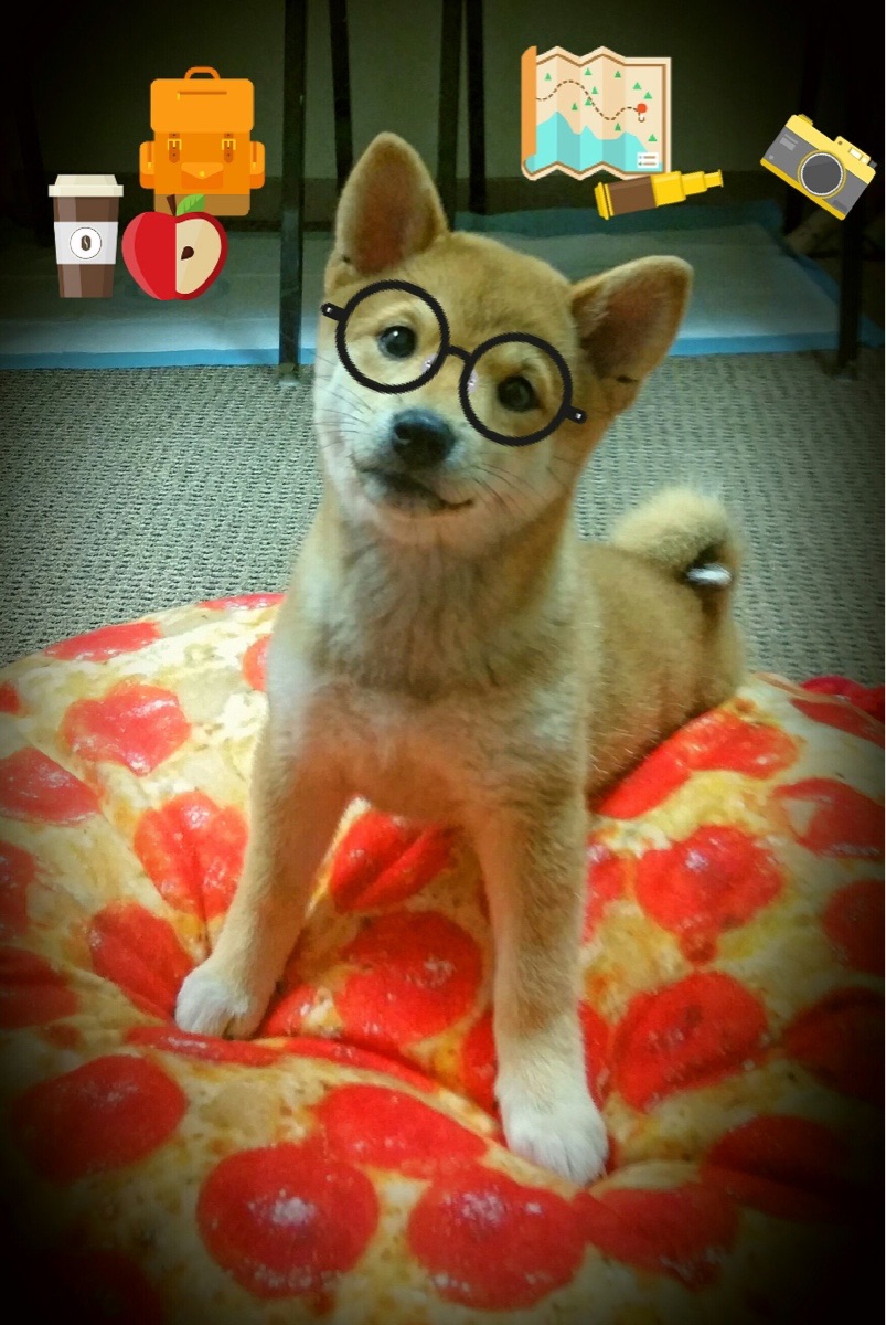 德甲球队引入AI驱动的战术重组系统实现攻守即时切换，德甲重启最新消息