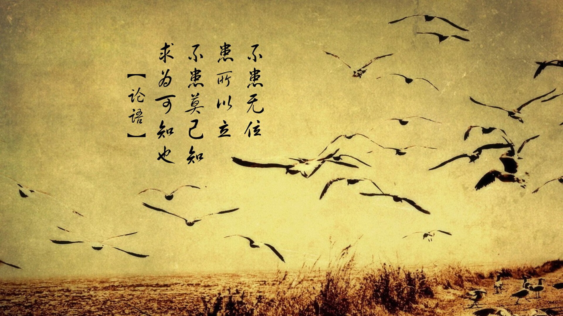 意甲裁判语义分析系统提升VAR判罚准确性的方法探讨，var裁判技术