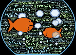 Jiuyou Sports-法甲实际战术板使用率与胜率关系初步调查，法国套战术板