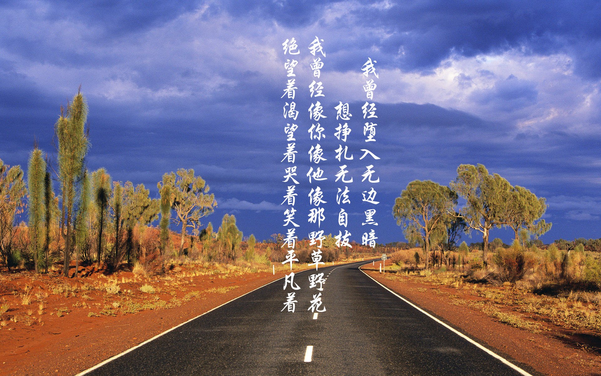 法甲“榜首之战”：巴黎圣日耳曼迎战里尔，争夺领头羊位置