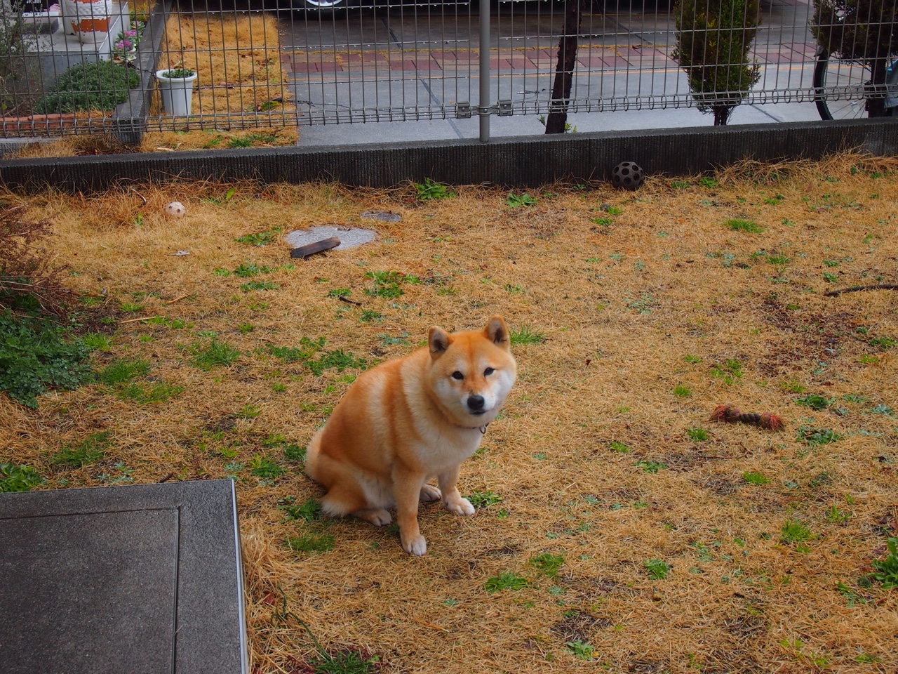 篮球运动员专项体能训练科学研究,篮球运动员最需要的专项体能