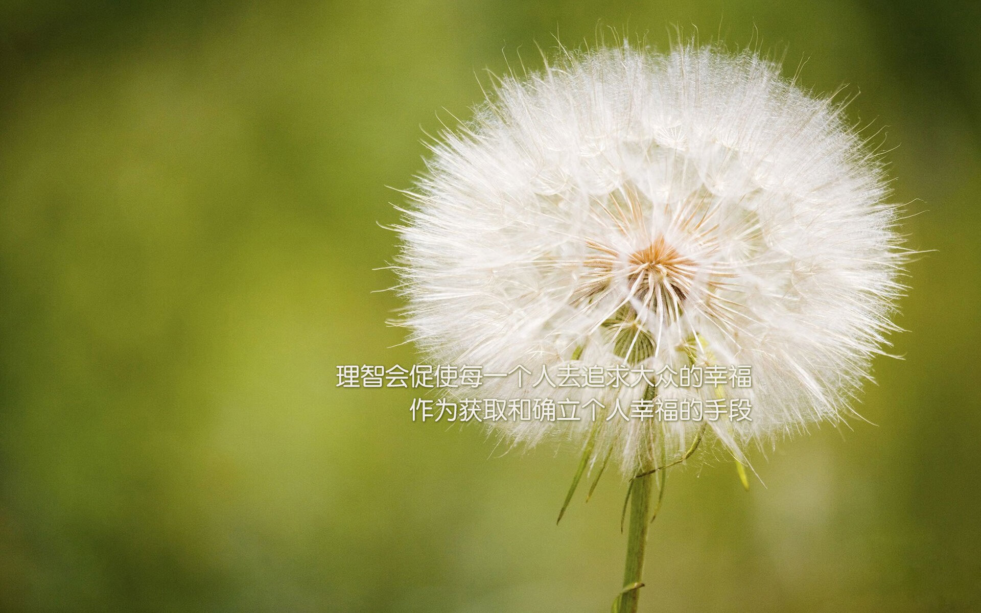 篮球运动员竞技状态智能监测与训练调整研究,篮球竞技能力的构成