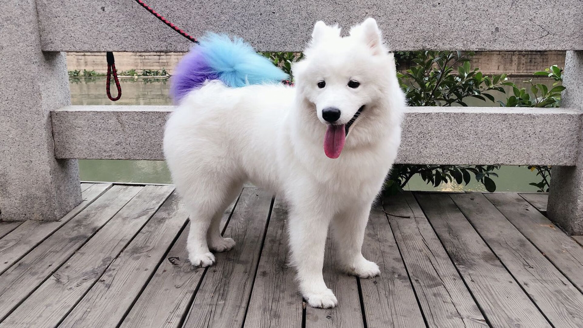 青年球员的成长:从地方联赛到国际舞台,年轻人球队比赛