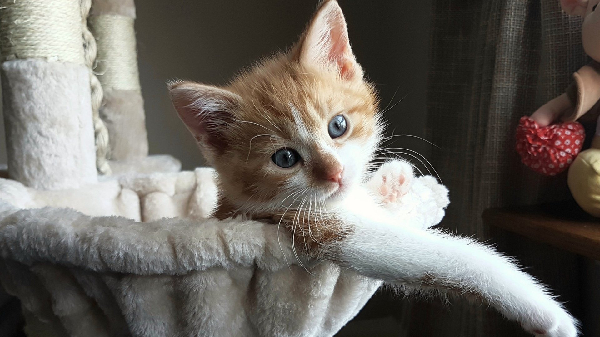 jiuyou游戏-中场传球重心变化是否左右整体进攻模式，传中球怎么不停球直接射门