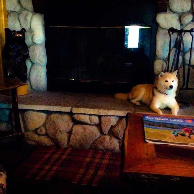 中超联赛国足爆冷 球迷情绪波动较大，足协公布中超